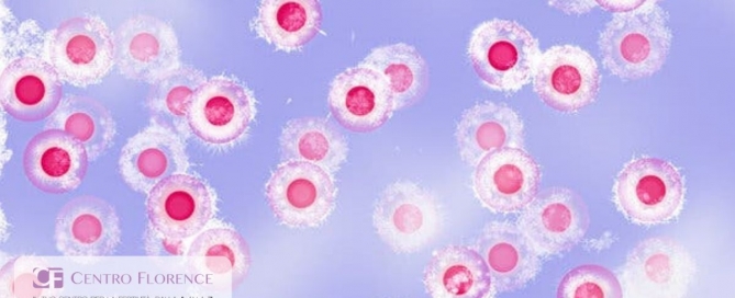 Immagini di uova femminili al microscopio
